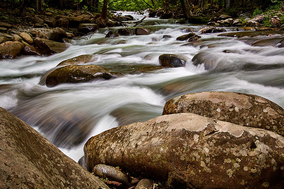 Little Pigeon River, Great Smoky Mt. National Park, TN