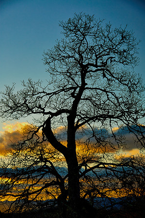 Sunset, Great Smoky Mt. National Park, NC