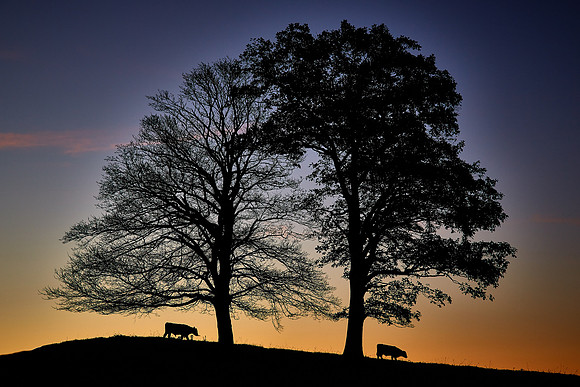 Sunrise along the Blue Ridge Parkway, NC