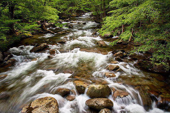 Little Pigeon River, Great Smoky Mt. National Park, TN