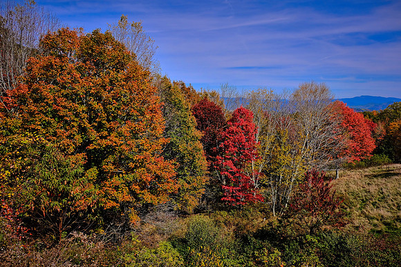 Grayson Highlands State Park, VA