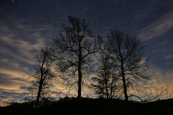 Starscape along the Blue Ridge Parkway, NC