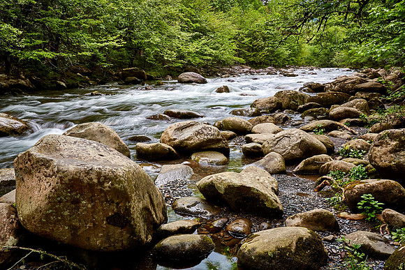 Little Pigeon River, Great Smoky Mt. National Park, TN