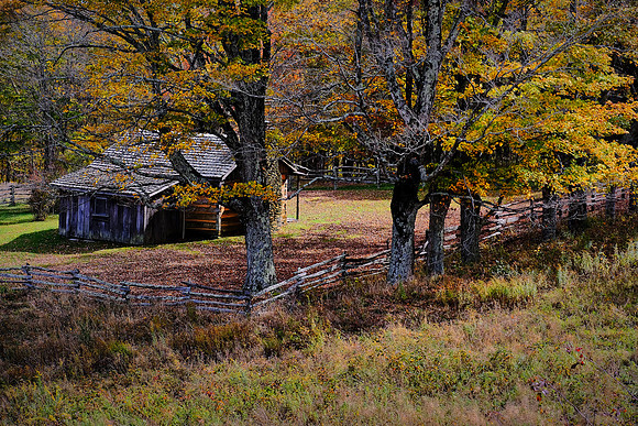 Grayson Highlands State Park, VA