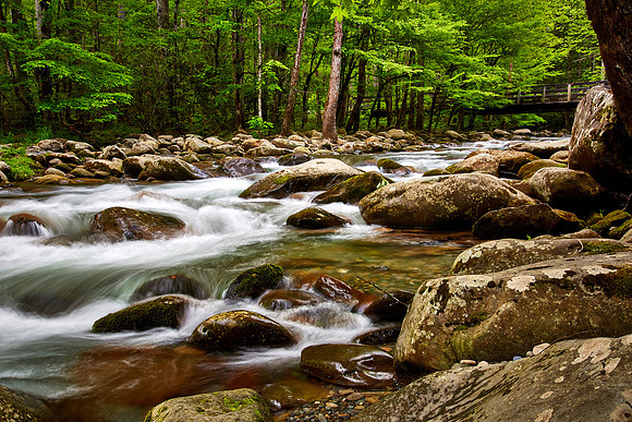 Little Pigeon River, Great Smoky Mt. National Park, TN