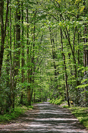 Raven Fork, Great Smoky Mt. National Park, NC