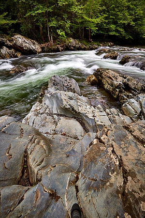 Little Pigeon River, Great Smoky Mt. National Park, TN