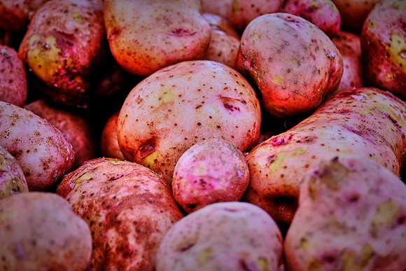 Davidson Farmer's Market
