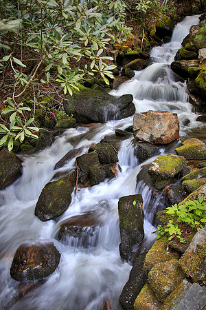 Great Smoky Mt. Natioanl Park, NC