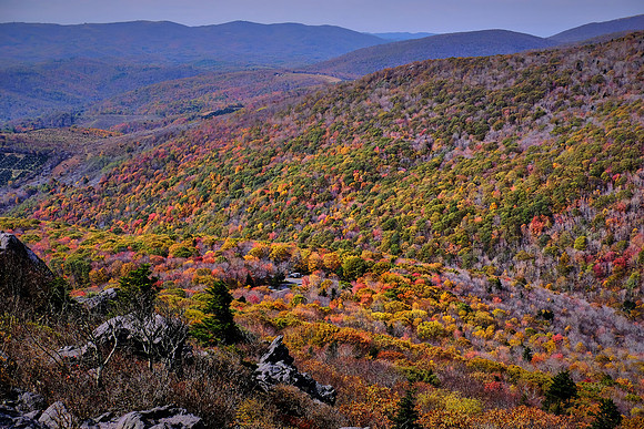 Grayson Highlands State Park, VA