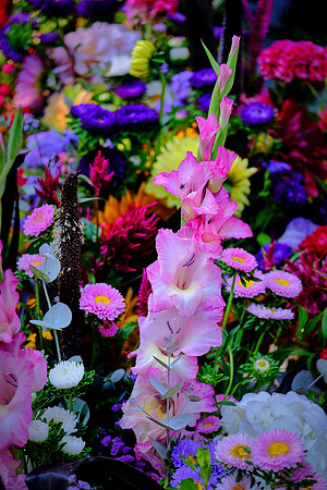 Davidson Farmer's Market