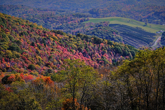 Grayson Highlands State Park, VA