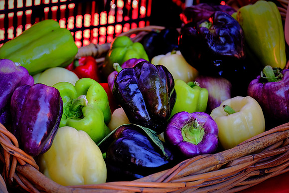 Davidson Farmer's Market