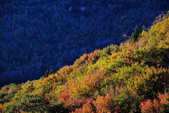 Fall Colors along the Blue Ridge Parkway, NC