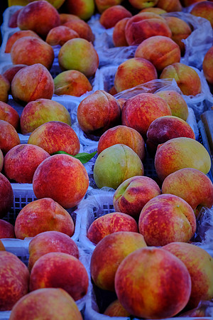 Davidson Farmer's Market
