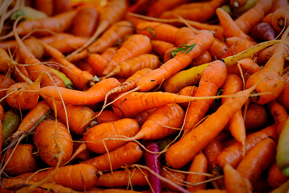 Davidson Farmer's Market
