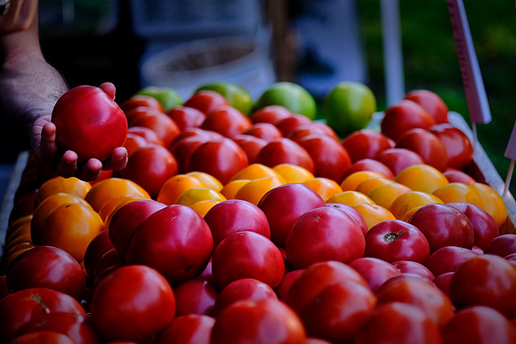 Davidson Farmer's Market