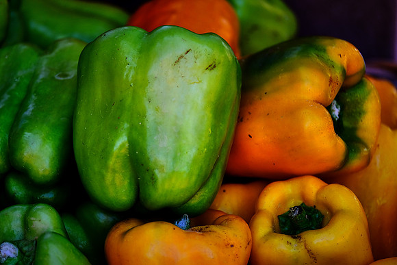 Davidson Farmer's Market