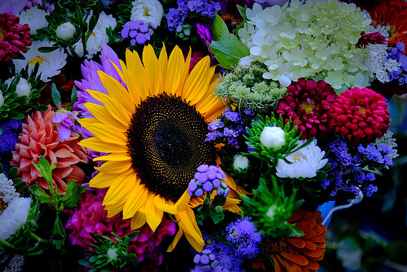 Davidson Farmer's Market