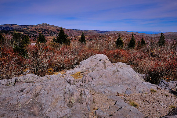 Grayson Highlands State Park, VA