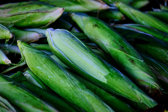 Davidson Farmer's Market
