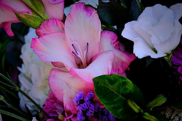 Davidson Farmer's Market