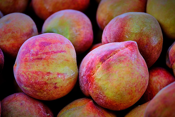 Davidson Farmer's Market