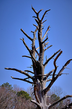 Blue Ridge Parkway, NC