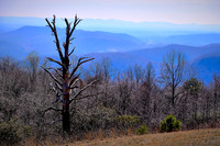 2017 Mar - Blue Ridge Parkway, NC