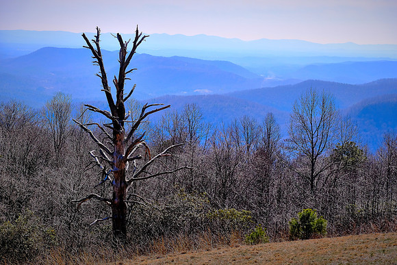 Blue Ridge Parkway, NC