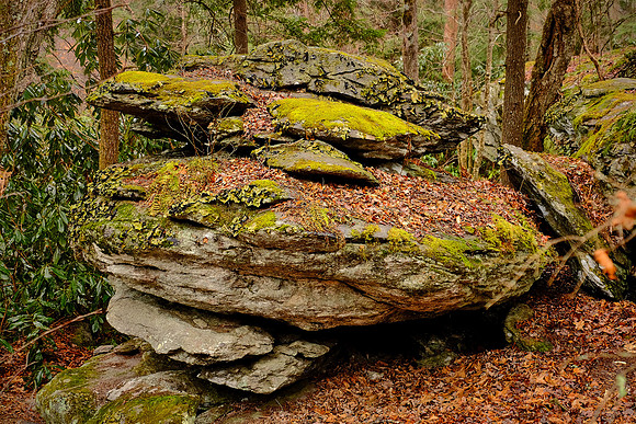 Flat Rock Overlook, Blue Ridge Parkway, NC