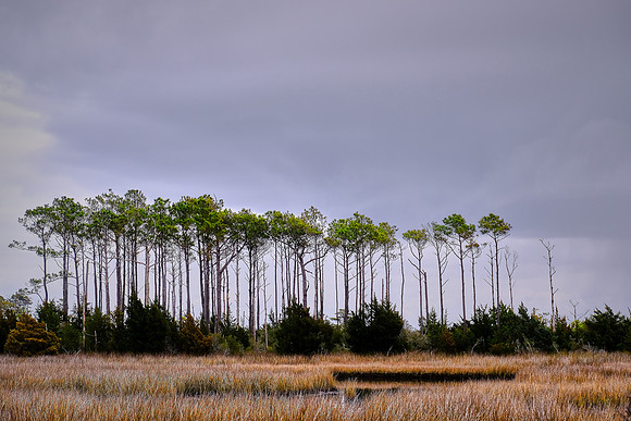 Beaufort and Atlantic Beach, Outer Banks, NC