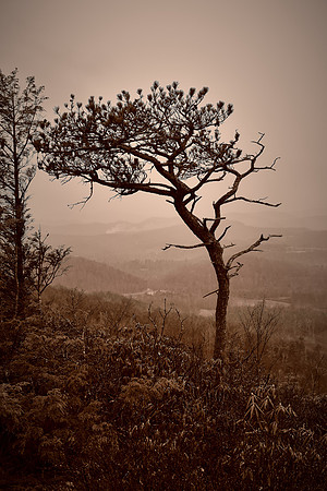 Flat Rock Overlook, Blue Ridge Parkway, NC