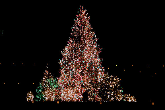 Biltmore at Christmas