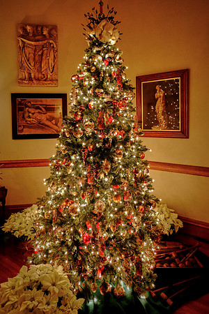Biltmore at Christmas