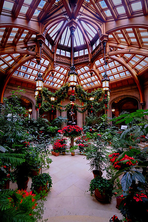 Biltmore at Christmas