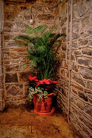 Biltmore at Christmas