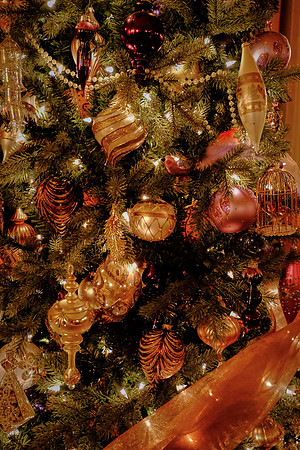 Biltmore at Christmas
