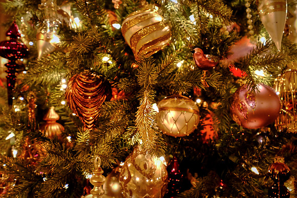 Biltmore at Christmas