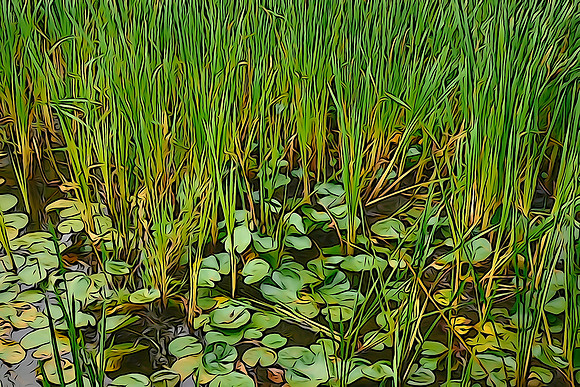 Around Ludlow's Island Resort, Lake Vermilion, MN