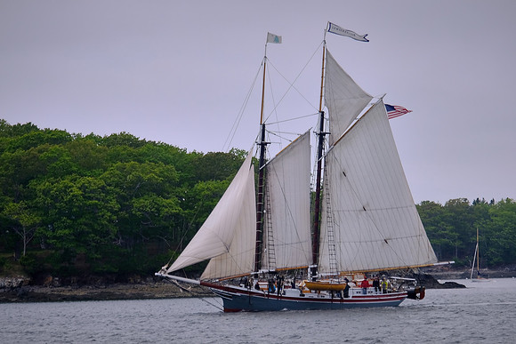 Windjammer Lewis R. French