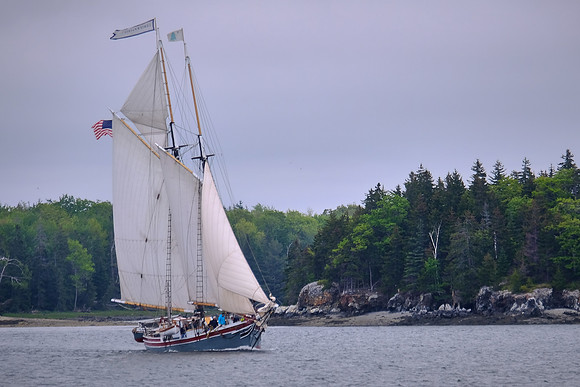 Windjammer Lewis R. French