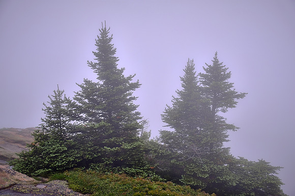 In the fog, Acadia National Park, Cadillac Mt., Mount Desert Island, Maine
