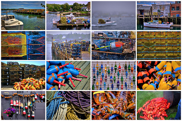 And this is Coastal MAINE!