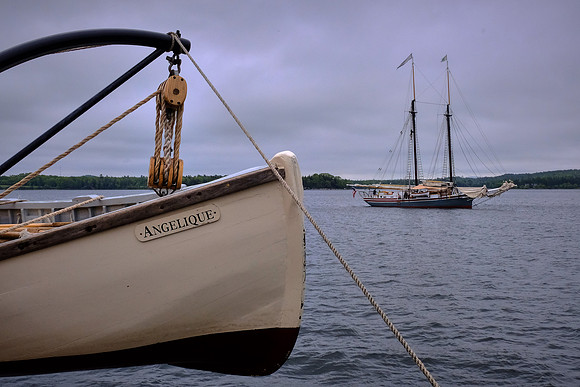 Windjammer Lewis R. French from Angelique