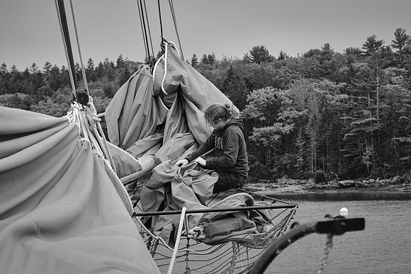 Deckhand Johana furls sail, Windjammer Angelique, Camden, Maine