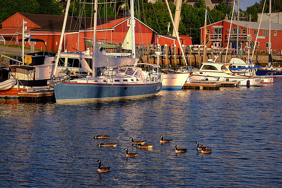 Sunrise in Camden Harbor, Camden, Maine