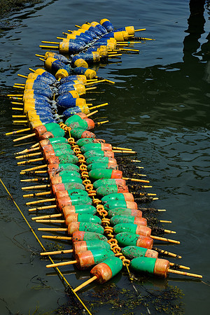 Lobster buoys, Friendship, Maine