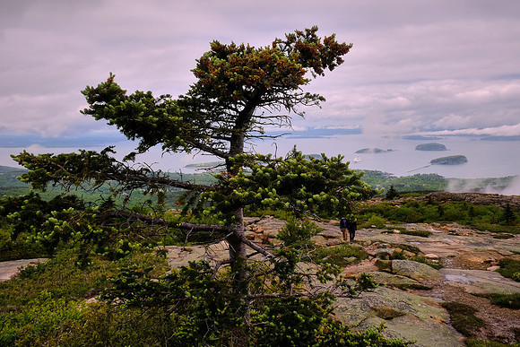 Bar Harbor and Bar Island from atop Acadia National Park, Cadillac Mt., Mount Desert Island, Maine
