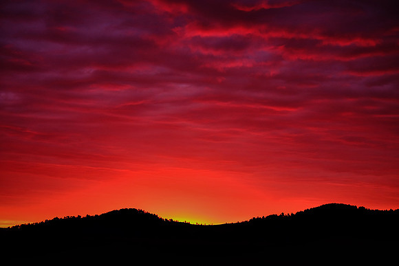 Sunrise at Custer State Park Annual Buffalo Roundup, SD